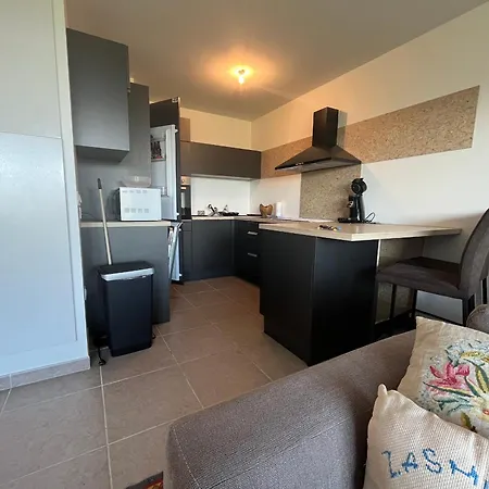 Apartment Cosy Avec Jardin Et Parking A - Fr-1-498-105 Evian-les-Bains